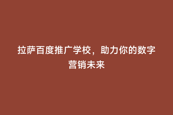 拉萨百度推广学校，助力你的数字营销未来