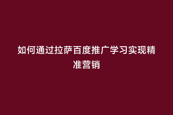 如何通过拉萨百度推广学习实现精准营销