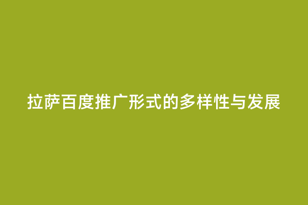 拉萨百度推广形式的多样性与发展