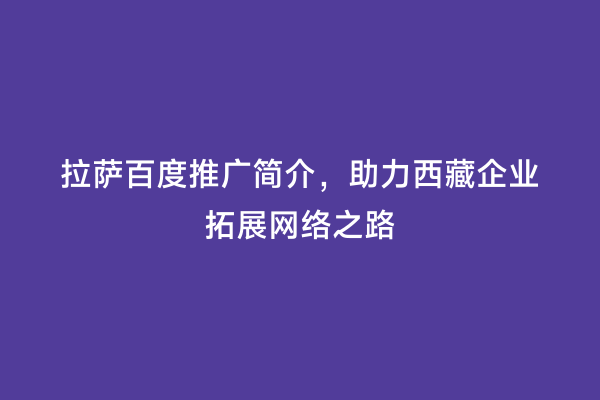 拉萨百度推广简介，助力西藏企业拓展网络之路