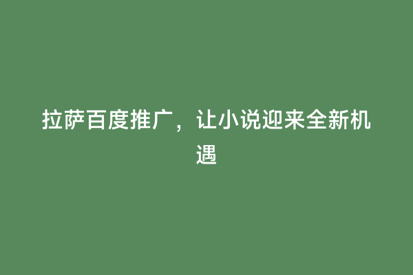 拉萨百度推广，让小说迎来全新机遇