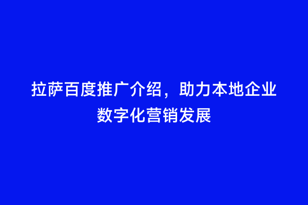 拉萨百度推广介绍，助力本地企业数字化营销发展