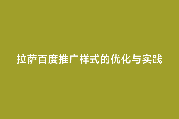 拉萨百度推广样式的优化与实践