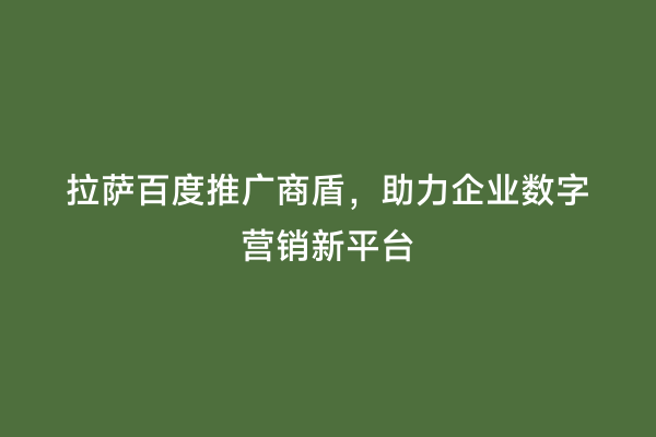拉萨百度推广商盾，助力企业数字营销新平台