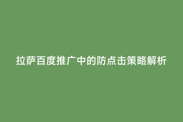拉萨百度推广中的防点击策略解析