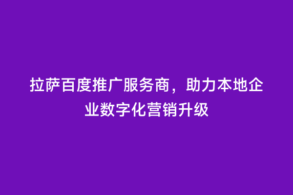 拉萨百度推广服务商，助力本地企业数字化营销升级