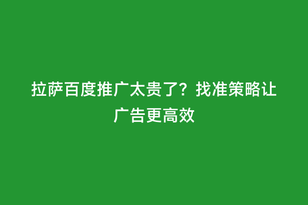 拉萨百度推广太贵了？找准策略让广告更高效