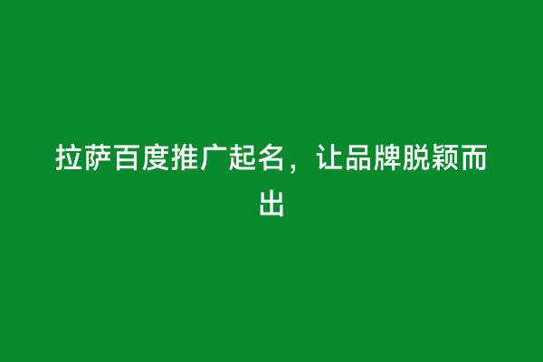 拉萨百度推广起名，让品牌脱颖而出
