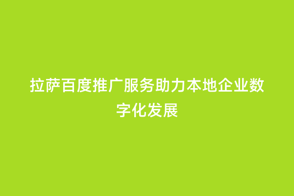 拉萨百度推广服务助力本地企业数字化发展