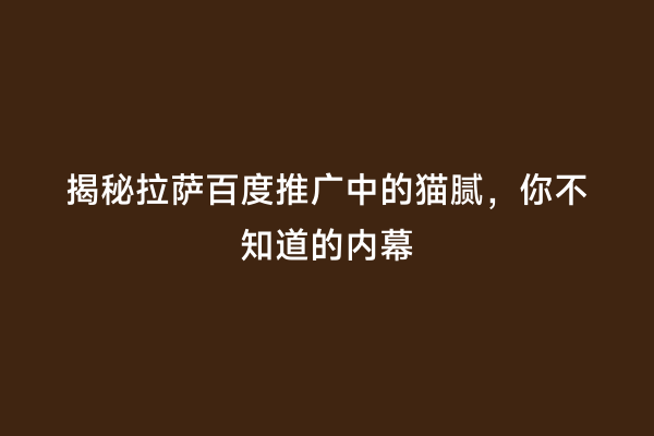 揭秘拉萨百度推广中的猫腻，你不知道的内幕