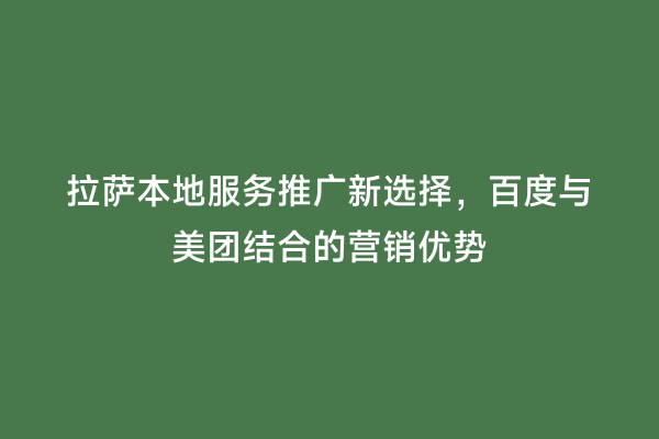拉萨本地服务推广新选择，百度与美团结合的营销优势