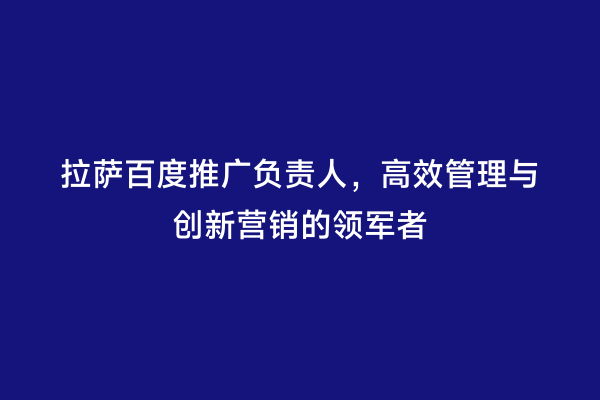 拉萨百度推广负责人，高效管理与创新营销的领军者