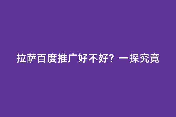 拉萨百度推广好不好？一探究竟