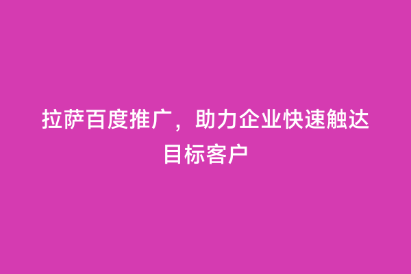 拉萨百度推广，助力企业快速触达目标客户