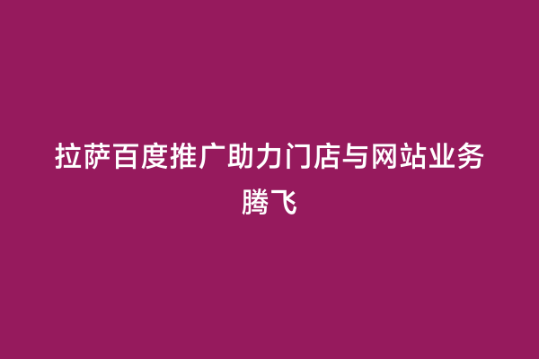 拉萨百度推广助力门店与网站业务腾飞