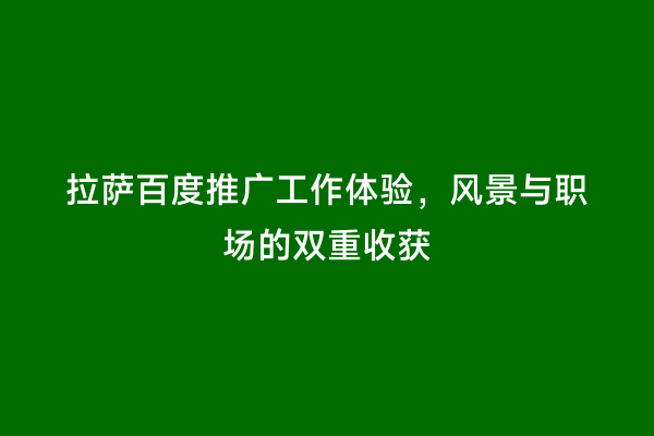 拉萨百度推广工作体验，风景与职场的双重收获