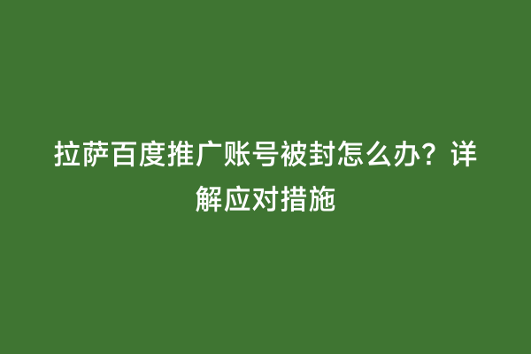 拉萨百度推广账号被封怎么办？详解应对措施