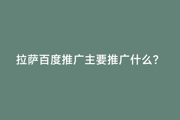拉萨百度推广主要推广什么？