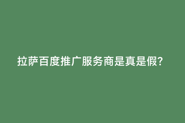 拉萨百度推广服务商是真是假？