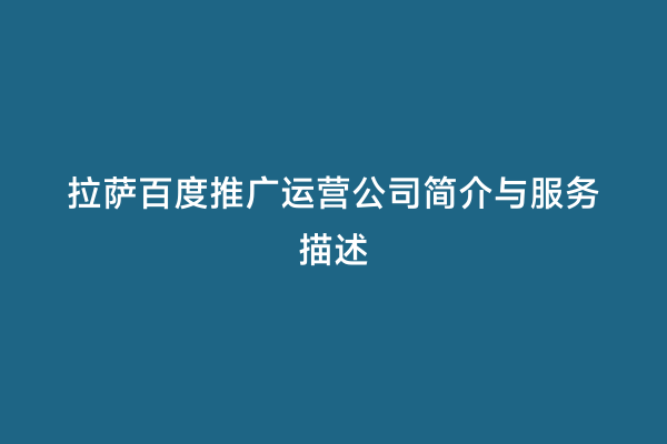 拉萨百度推广运营公司简介与服务描述