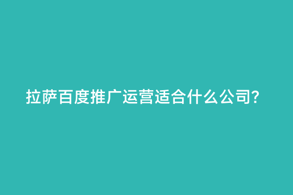 拉萨百度推广运营适合什么公司？