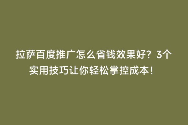 拉萨百度推广怎么省钱效果好？3个实用技巧让你轻松掌控成本！