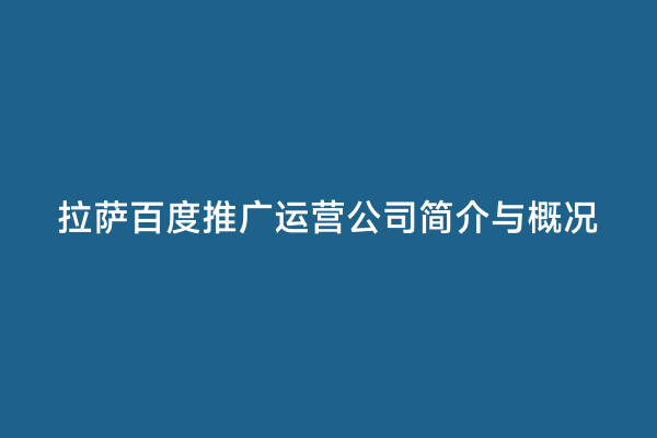 拉萨百度推广运营公司简介与概况