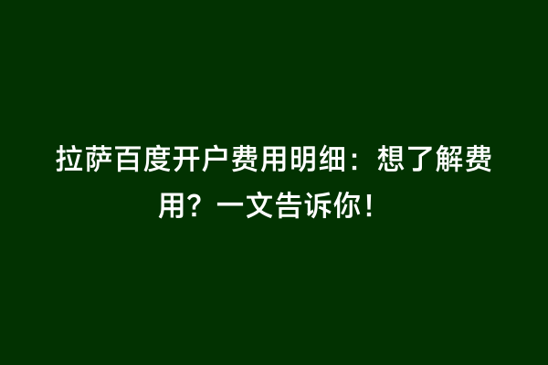 拉萨百度开户费用明细：想了解费用？一文告诉你！