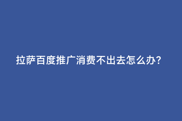 拉萨百度推广消费不出去怎么办？