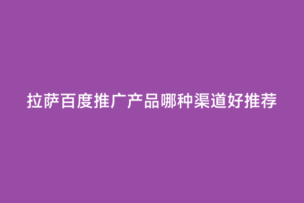 拉萨百度推广产品哪种渠道好推荐
