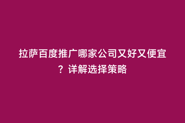 拉萨百度推广哪家公司又好又便宜？详解选择策略