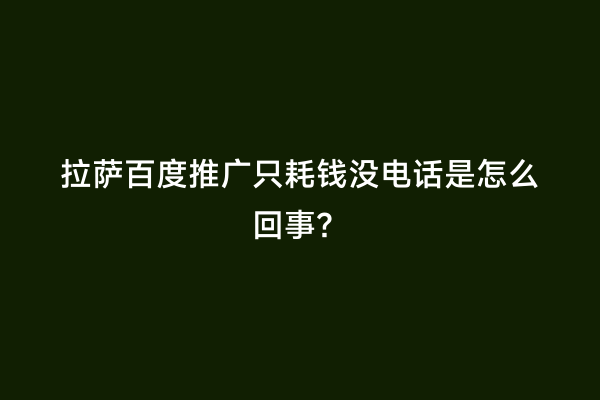 拉萨百度推广只耗钱没电话是怎么回事？