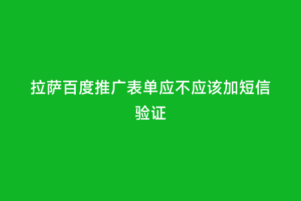 拉萨百度推广表单应不应该加短信验证