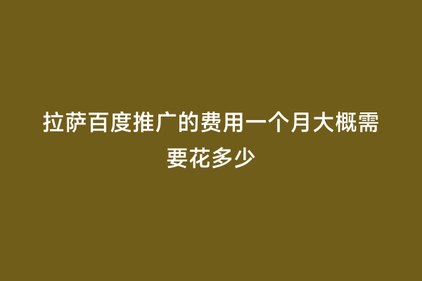 拉萨百度推广的费用一个月大概需要花多少