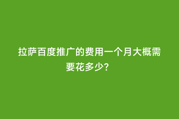 拉萨百度推广的费用一个月大概需要花多少？