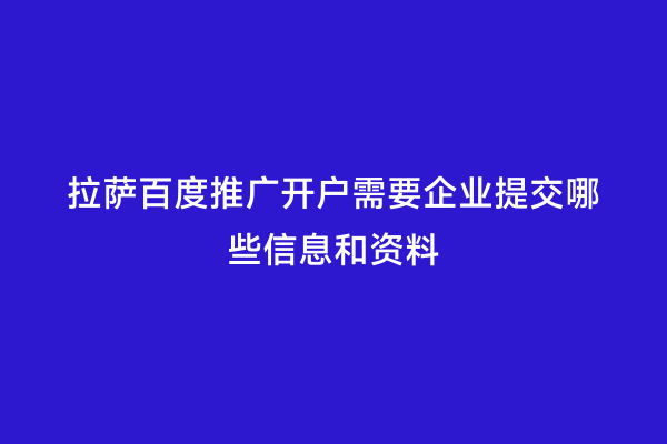 拉萨百度推广开户需要企业提交哪些信息和资料