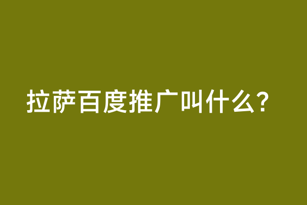 拉萨百度推广叫什么？