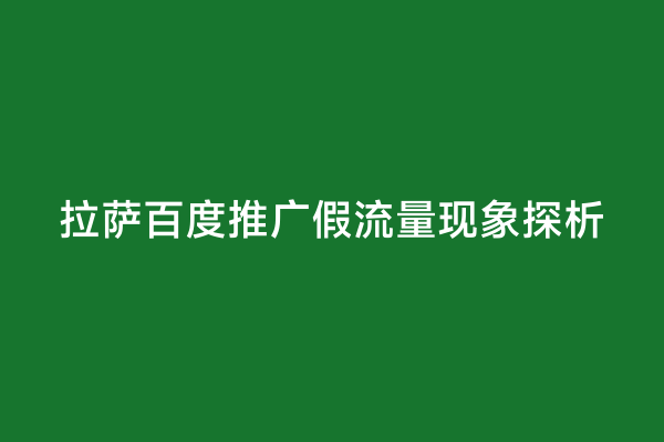 拉萨百度推广假流量现象探析