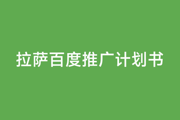 拉萨百度推广计划书