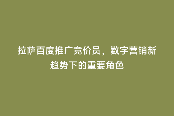 拉萨百度推广竞价员，数字营销新趋势下的重要角色