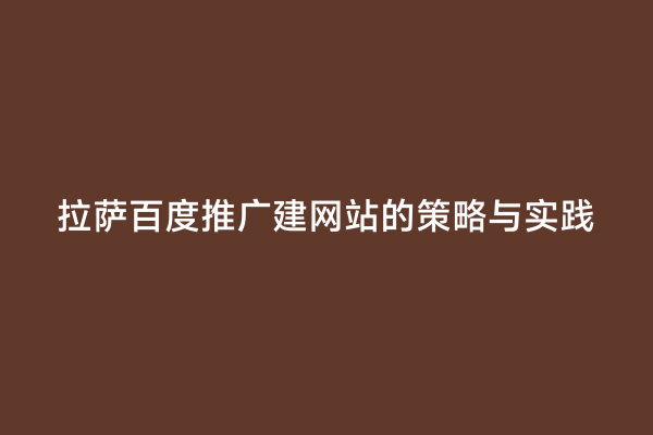 拉萨百度推广建网站的策略与实践