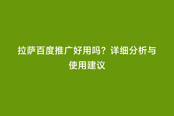 拉萨百度推广好用吗？详细分析与使用建议