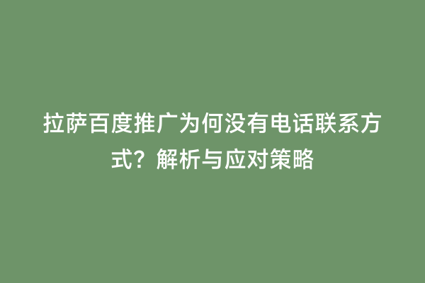 拉萨百度推广为何没有电话联系方式？解析与应对策略