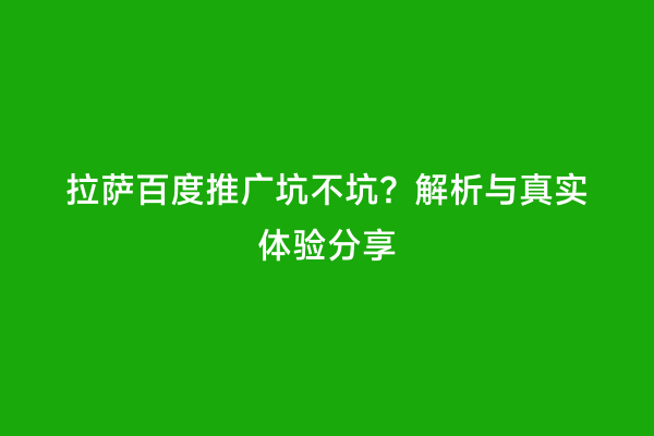 拉萨百度推广坑不坑？解析与真实体验分享