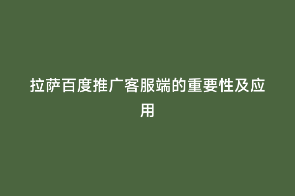 拉萨百度推广客服端的重要性及应用