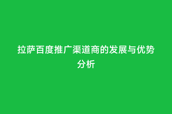 拉萨百度推广渠道商的发展与优势分析