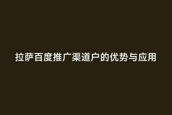 拉萨百度推广渠道户的优势与应用