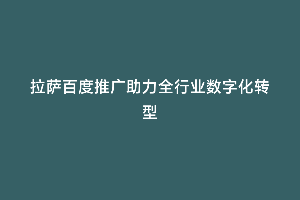 拉萨百度推广助力全行业数字化转型