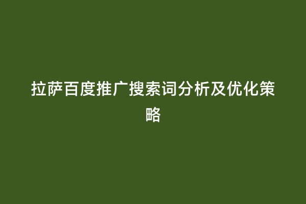 拉萨百度推广搜索词分析及优化策略
