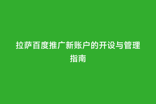 拉萨百度推广新账户的开设与管理指南